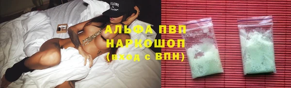 прущие грибы Гусиноозёрск