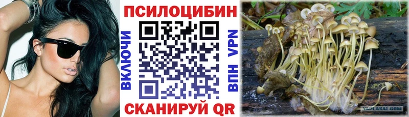 где продают   Екатеринбург  Галлюциногенные грибы Cubensis 